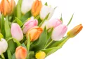 Bouquet of tulips